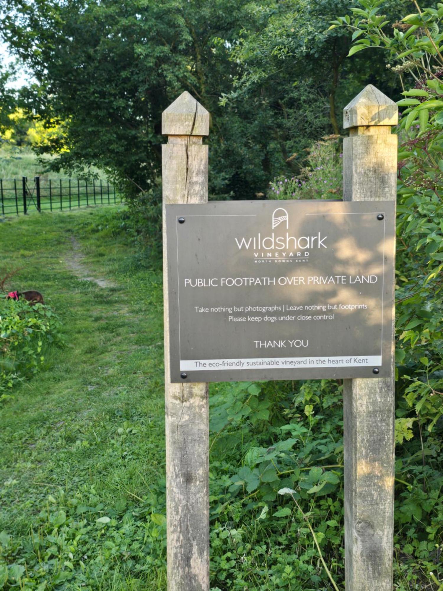 Willow Cottage In Idyllic Location Harrietsham Exterior foto